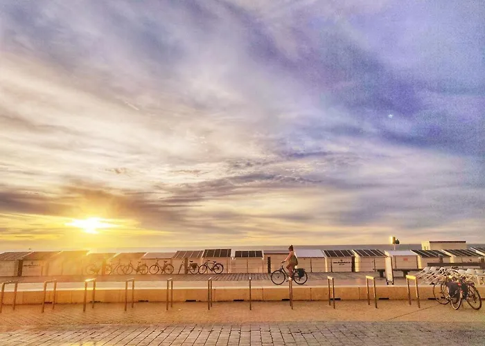 The Beach Surf Studio